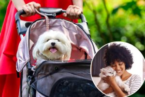 Half of Gen Z see their pets as actual children, shocking new poll reveals