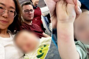 My family and I weren’t allowed to fly — because our baby had bug bites: We ‘felt like criminals’