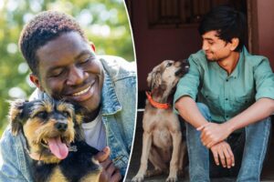90% of dog owners say pet’s health as important or more important than their own