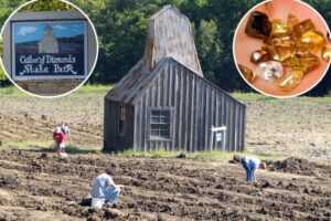 Diamond hunters swarm US park to unearth pricey precious gems — that visitors are allowed to keep