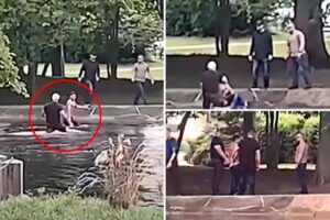 Shirtless illegal immigrant busted by ICE after jumping headfirst into pond in wild caught-on-camera pursuit