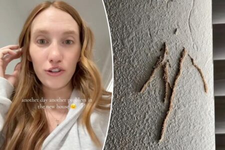 American dream turns into nightmare ordeal for devastated homeowners after horrifying discovery: ‘Everything I touch is breaking’