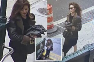 Scissor-wielding, well-dressed woman stabs man in back after he accidently captured her in street photo: cops
