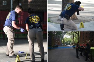 Teen arrested in killing of NYC man on his way to buy flowers to put at his mom’s grave for Mother’s Day: Cops