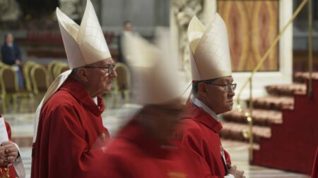 Disinformation, conspiracy theories circulate as papal conclave begins