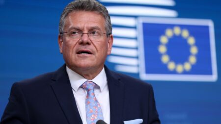 EU unlikely to get rid of all US tariffs – Commission
