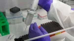 British man jailed for 1986 murder acquitted after 38 years using DNA
