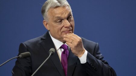 EU Commission demands Hungary withdraws its draft transparency law