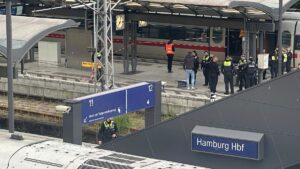 Several injured in knife attack at Hamburg train station, police say