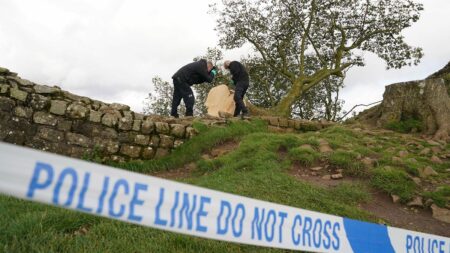 Two men found guilty of criminal damage for felling Sycamore Gap tree