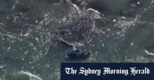 Three people rushed to hospital after helicopter crashes into waters near Victorian peninsula