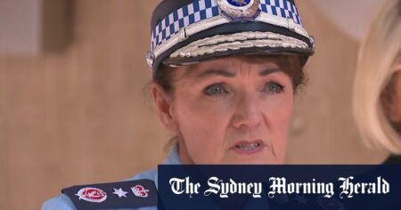 Karen Webb, NSW Police Commissioner, to step down