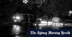 New CCTV released after gran killed in shooting