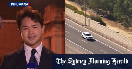 Pair killed after getting out of car in emergency lane