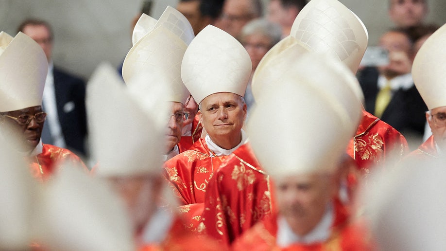 Pope Leo XIV with cardinals