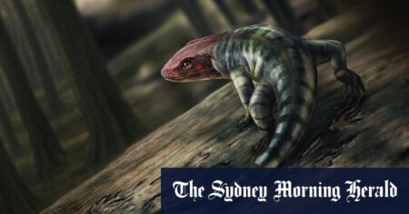 Scientists reveal key fossil evidence from Victoria’s High Country on evolution of land animals