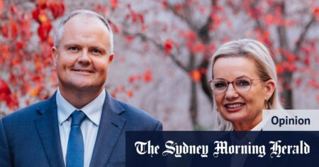 Sussan Ley Liberal Party leadership: Peter Dutton was a fighter, not a thinker