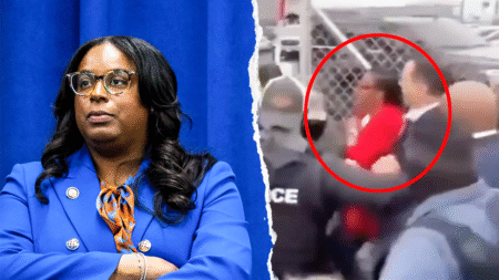 WATCH: Democrat lawmaker charged with assaulting federal agents laughs off fundraising questions