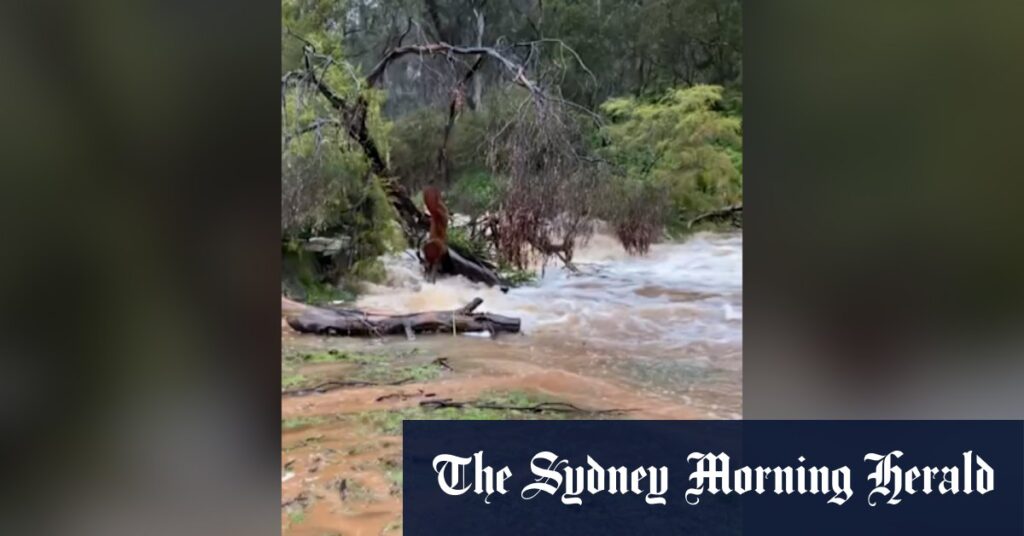 Major flooding continues to grip parts of NSW