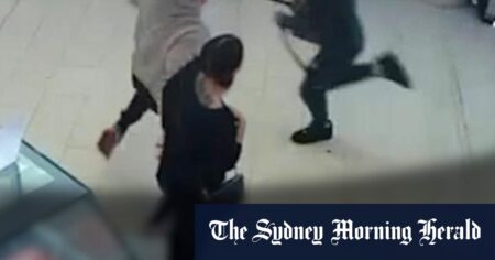 The moment a machete brawl suspect was wrestled to the ground at Northland