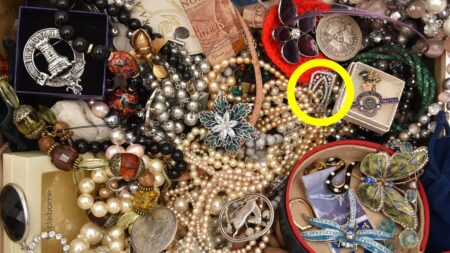 Rare diamond brooch found hiding in jewelry box delivers ‘special moment’
