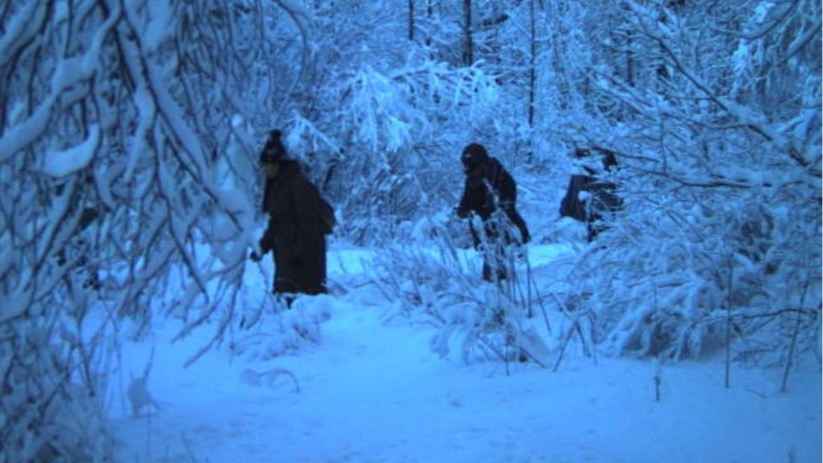 shadowy figures in snowy forest