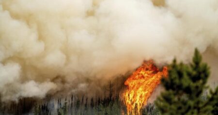 Rising temperatures prompt fire warning in B.C. Interior