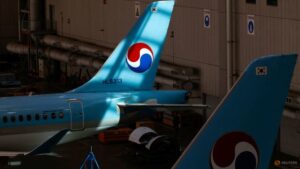 Asian airlines re-route, cancel flights due to India-Pakistan fighting