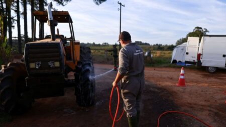 Japan halts some poultry imports from Brazil after bird flu outbreak