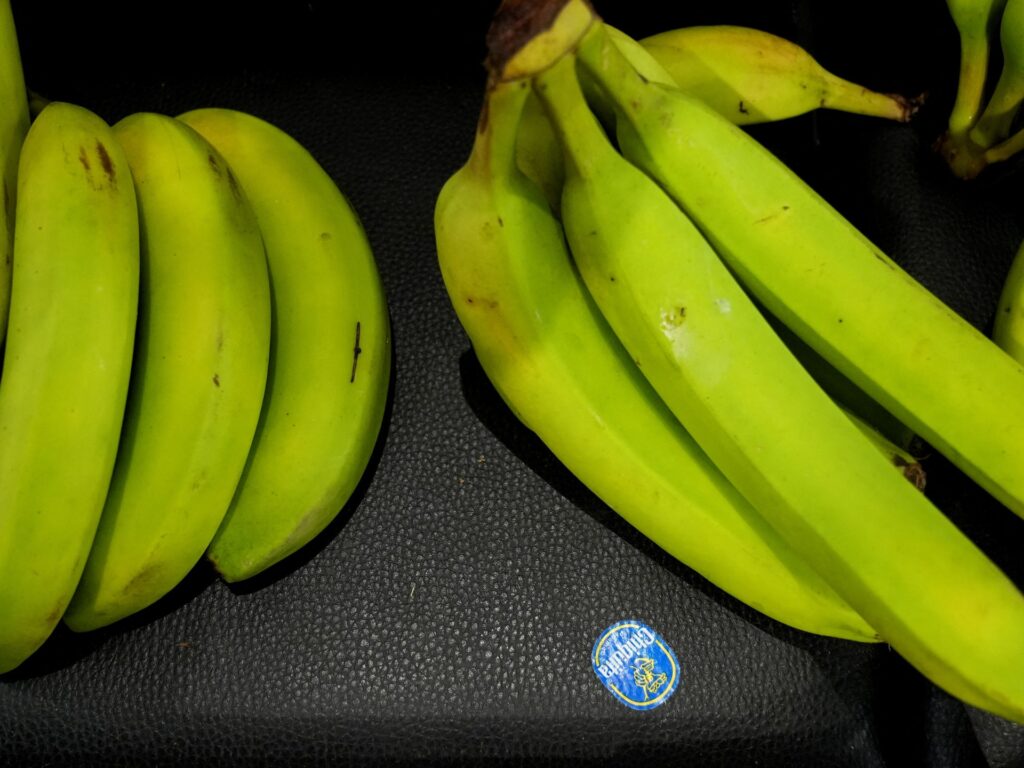 US banana giant Chiquita fires thousands over Panama strike