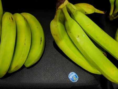 US banana giant Chiquita fires thousands over Panama strike