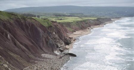 Cape Breton wildfire near Framboise being held: municipality