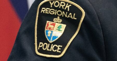 Owner sentenced to house arrest after Ontario child mauled by 3 dogs