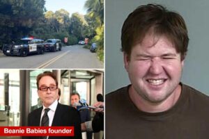 Maniac beats 60-year-old woman into coma at Beanie Babies founder’s California mansion