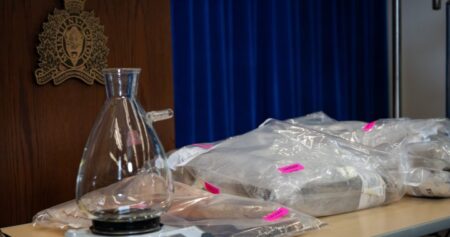 Fentanyl labs in Canada a ‘growing concern’ to U.S., DEA report warns