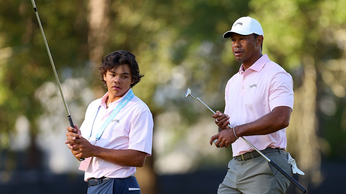 Tiger and son