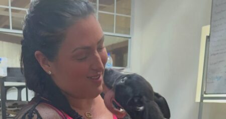 Ontario veterinarian rescues puppy after machete attack in St. Lucia