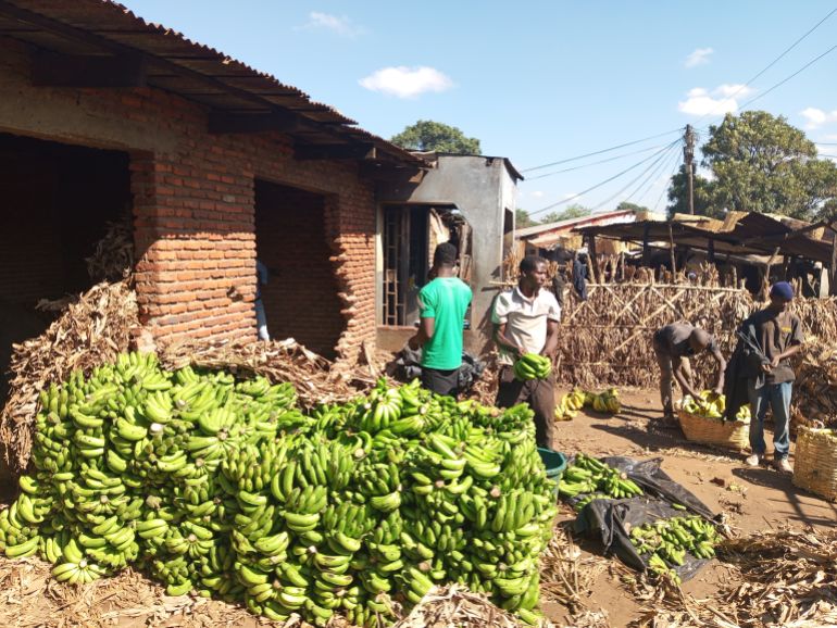 Malawi