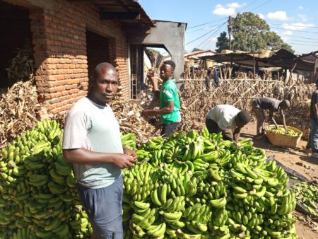 ‘We need our bananas back’: Traders left in limbo amid Malawi-Tanzania spat