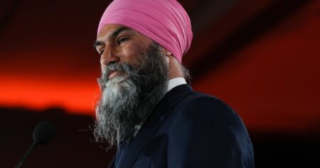 NDP to choose new interim leader to replace Singh
