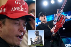 Musk describes stepping down from DOGE leadership as Buddhism without Buddha