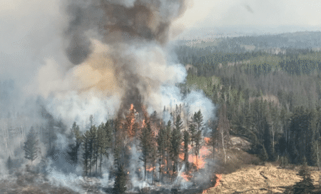 As wildfires rage, what can you do to prepare and reduce your risks?