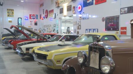 Vulcan County, Alta. man parts with decades-old car collection