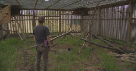 Alberta non-profit forced to fundraise after being denied grant funding