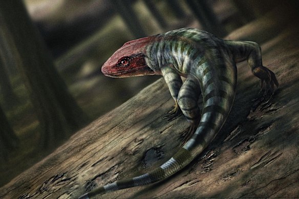 An artist’s impression of what the amniote may have looked like.