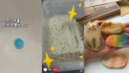 Toothpaste blobs, mango ‘dogs’: China’s Gen Zers cope with stress by turning to quirky ‘pets’