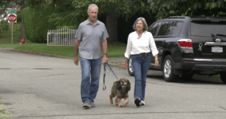 What to do if you come across a loose or aggressive animal