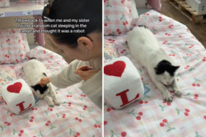 Sisters Not Sure What’s Lying on Bed in Furniture Store—Then It Moves