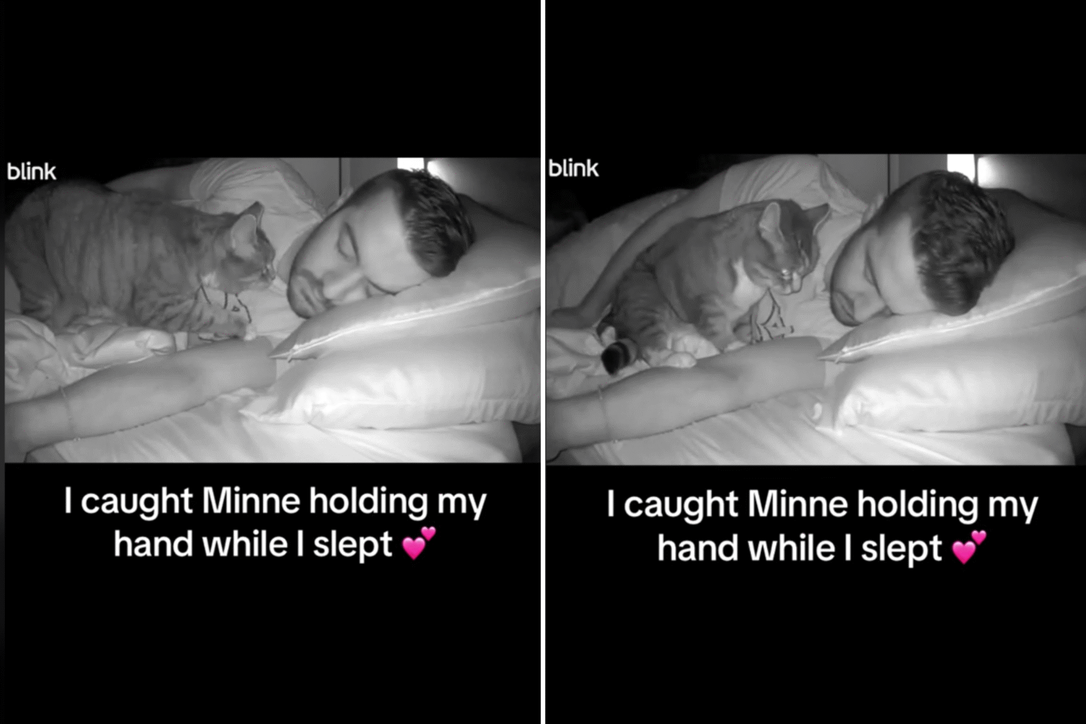 Owner Sets Up Pet Cam, Unprepared for What Rescue Cat Does While He Sleeps