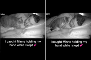 Owner Sets Up Pet Cam, Unprepared for What Rescue Cat Does While He Sleeps